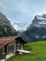 Mei CHOLET - MSC