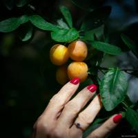 Julien SESIA - Julien-Sésia-Photographie©